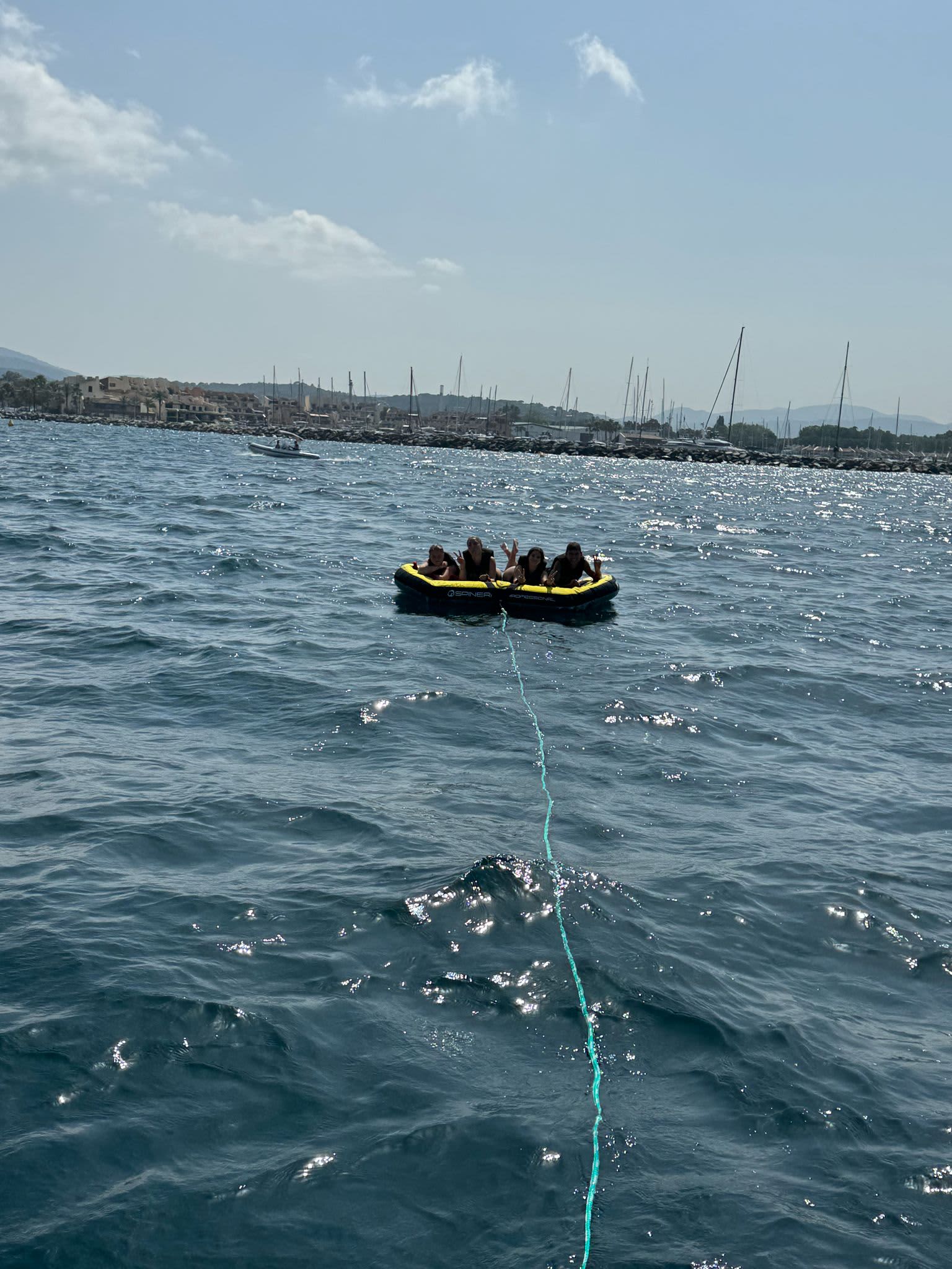 Cover of activity #11698