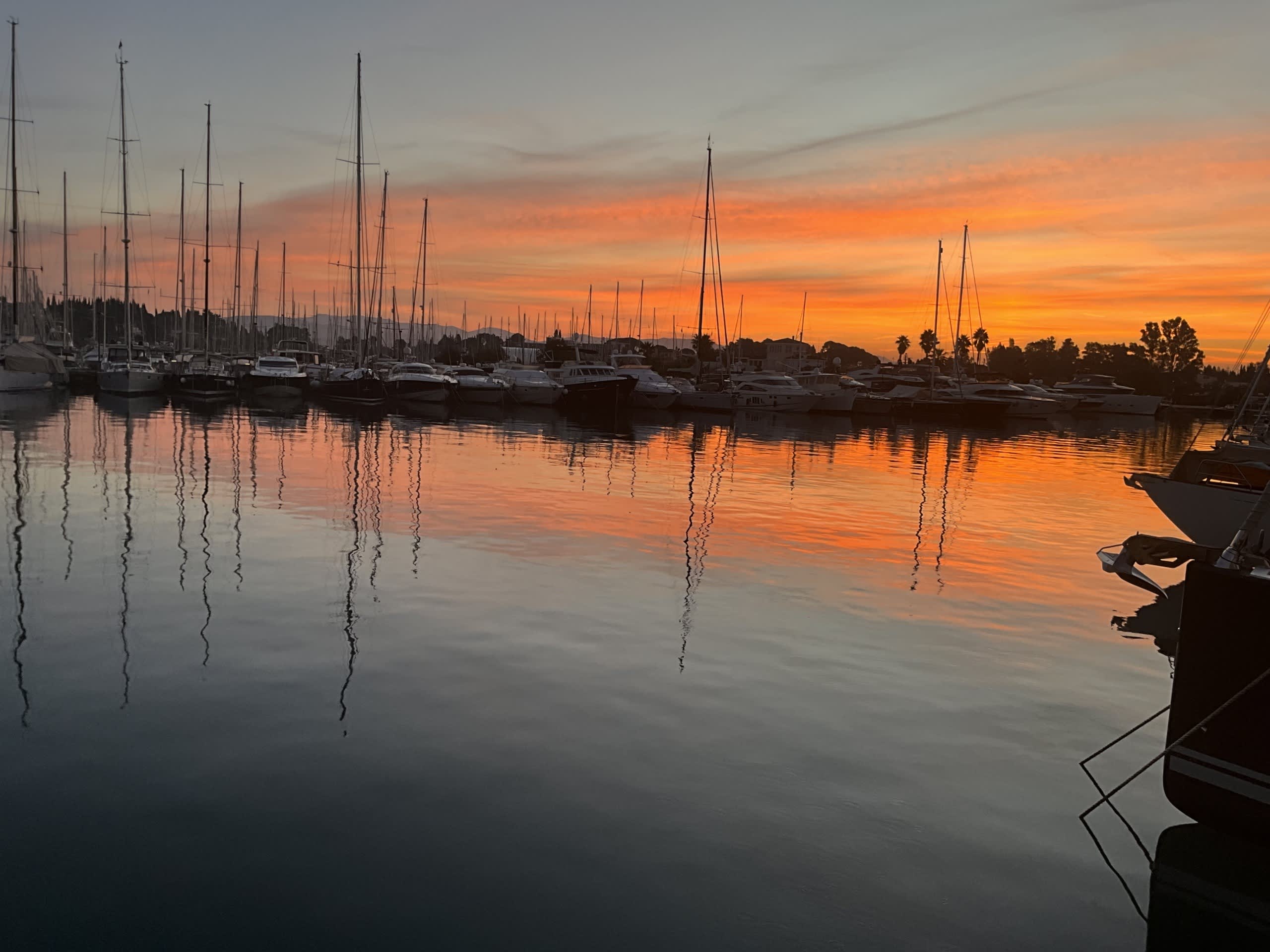 Cover of activity #10693