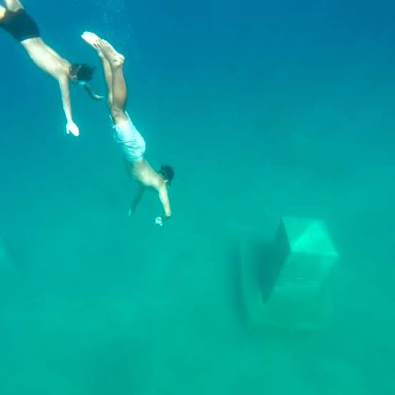 Cover of activity #16394