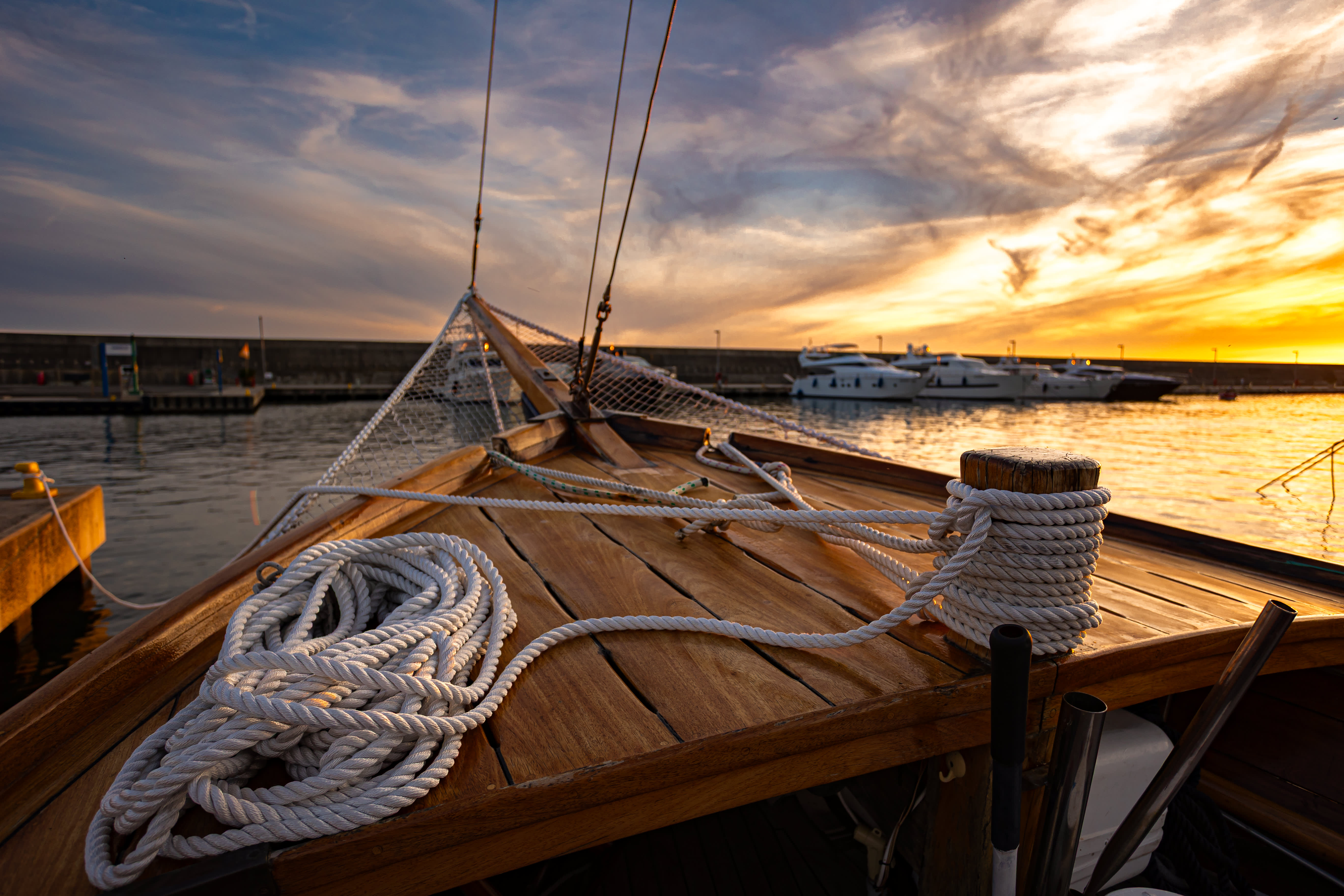 Cover of activity #12569