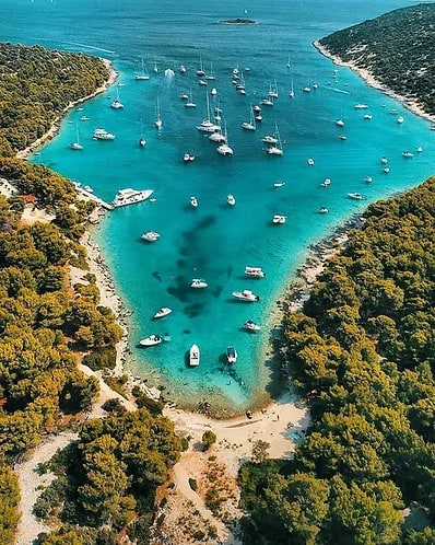 Cover of activity #10354