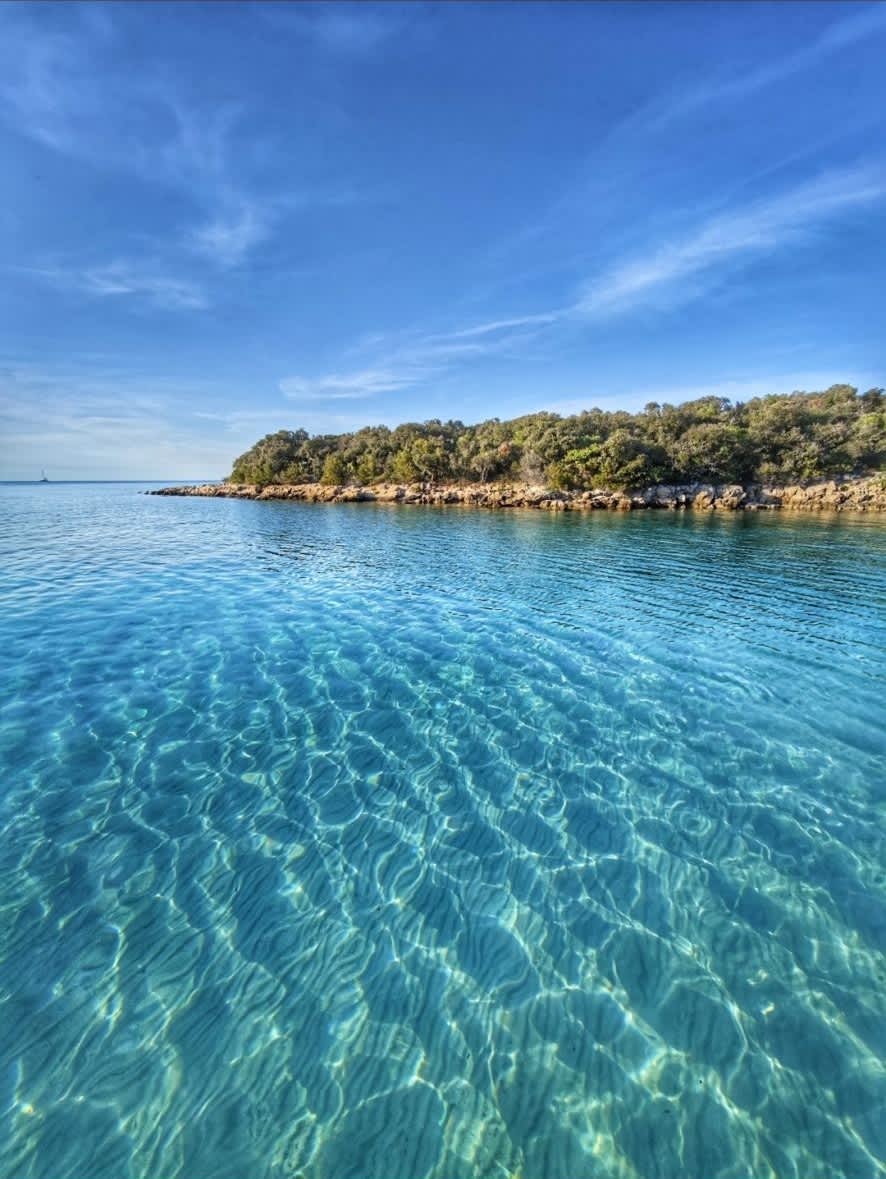 Cover of activity #11550