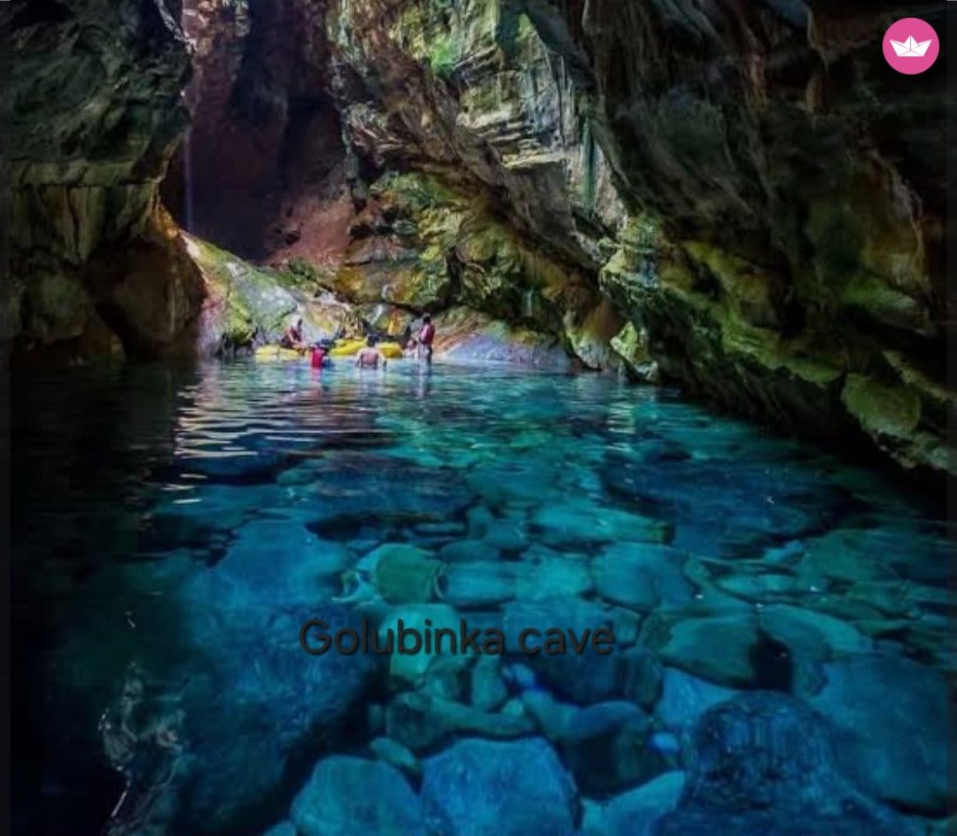 Cover of activity #11551