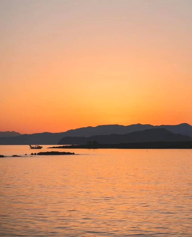 Cover of activity #10944