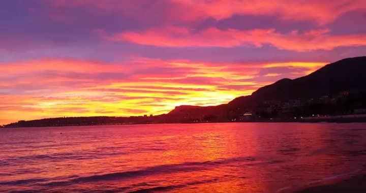 Cover of activity #11403