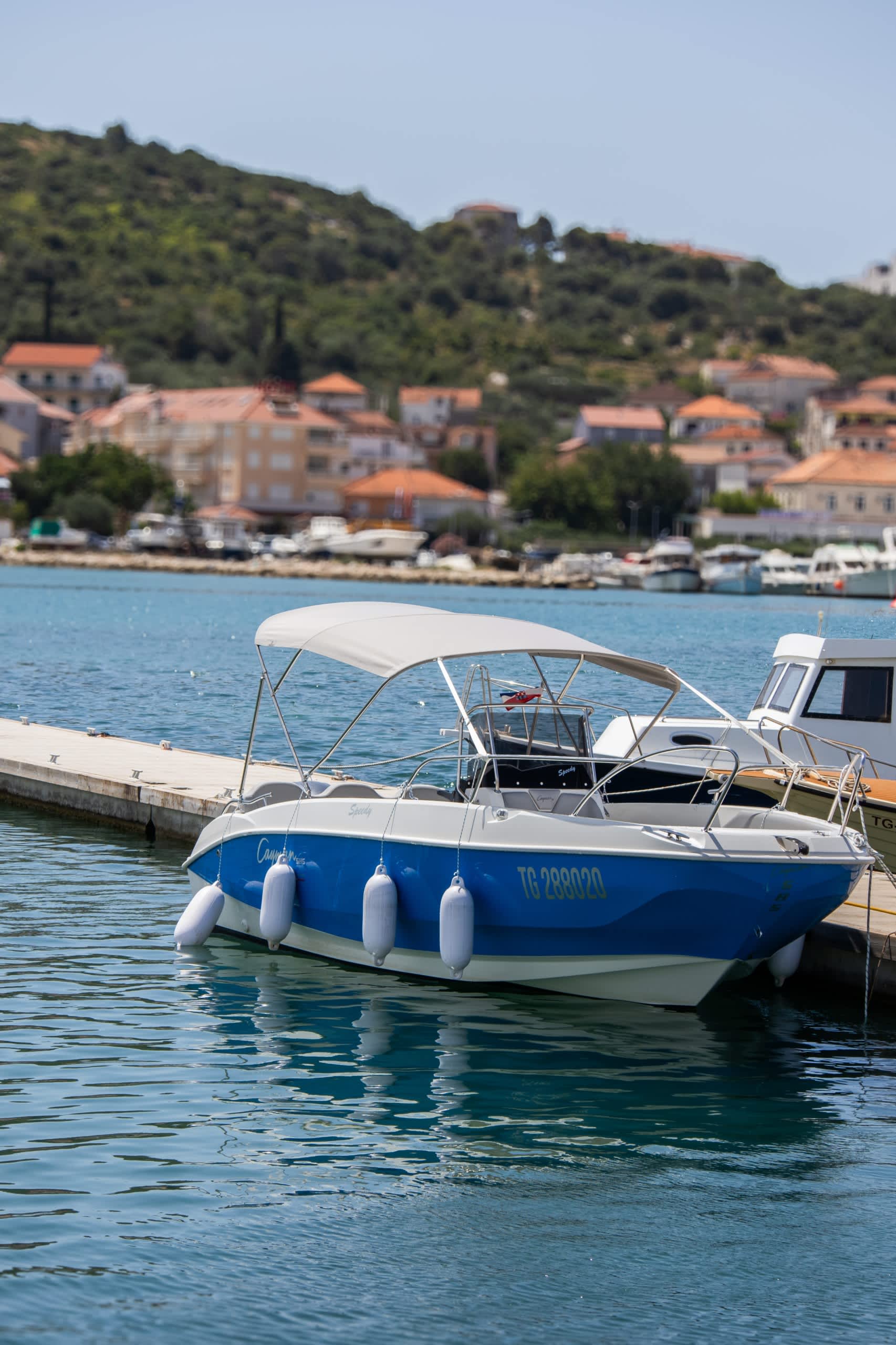 Cover of activity #26495