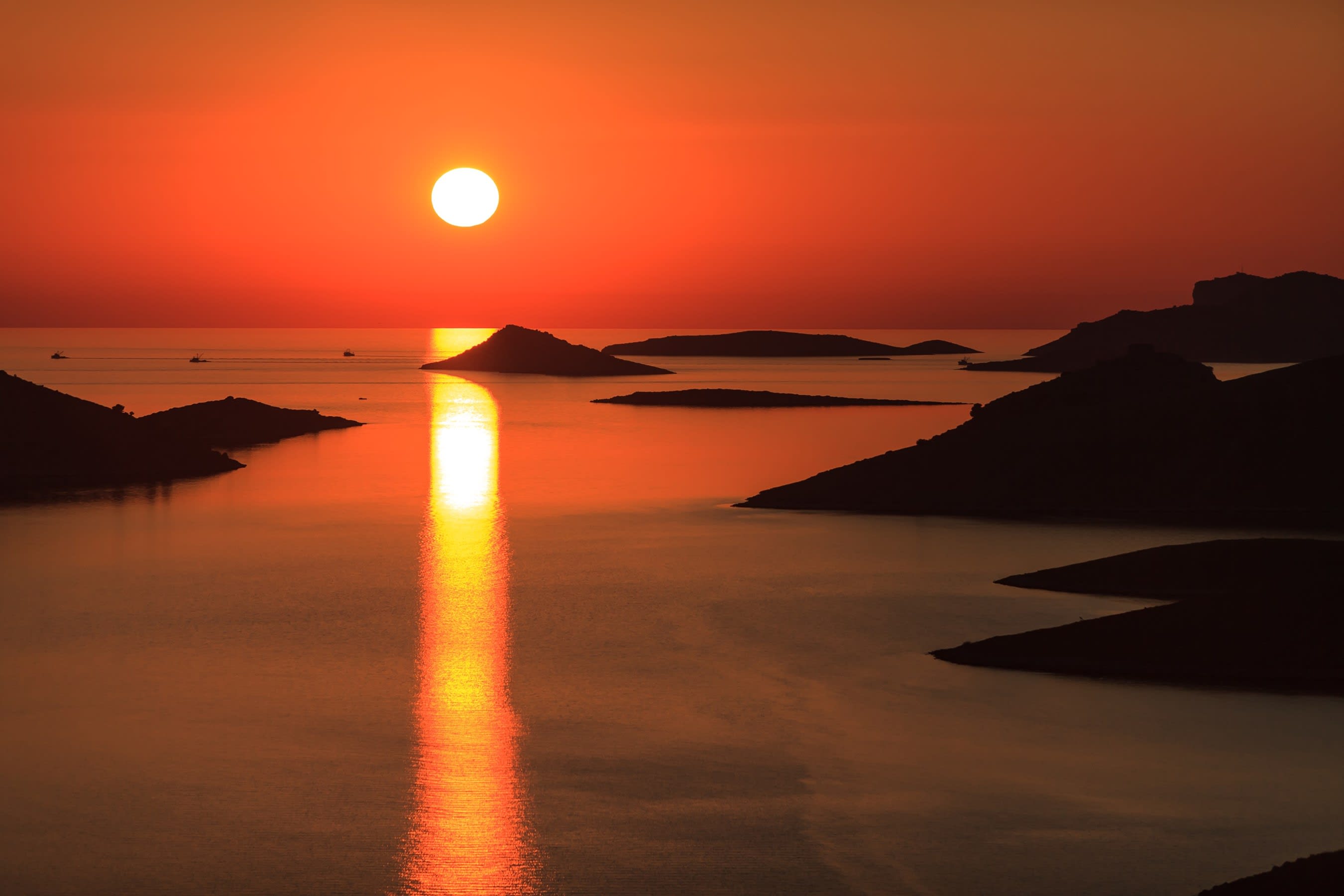 Cover of activity #11756