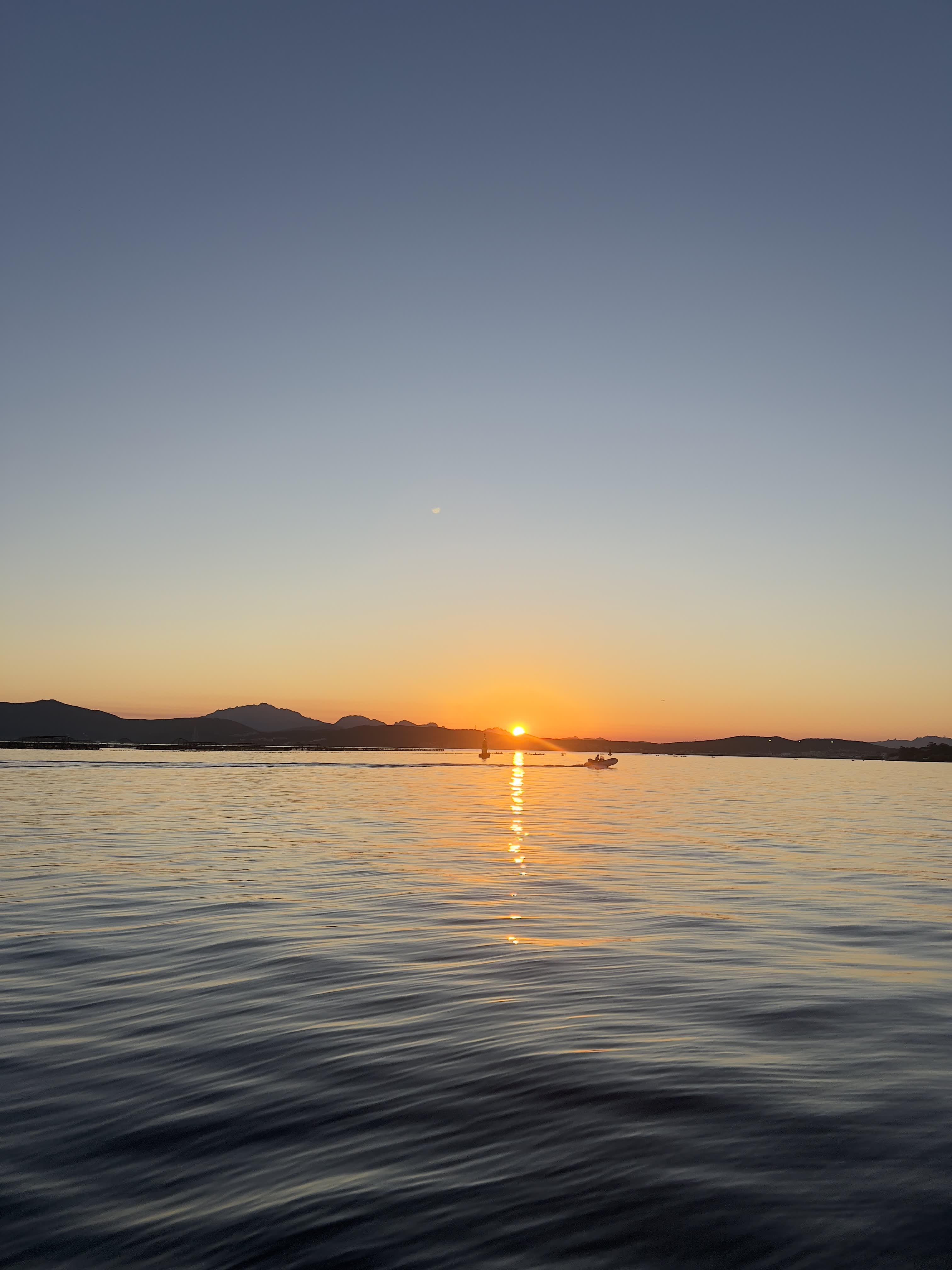 Sunset Tour: Magic and Dolphins at Sunset from Marina di Olbia
