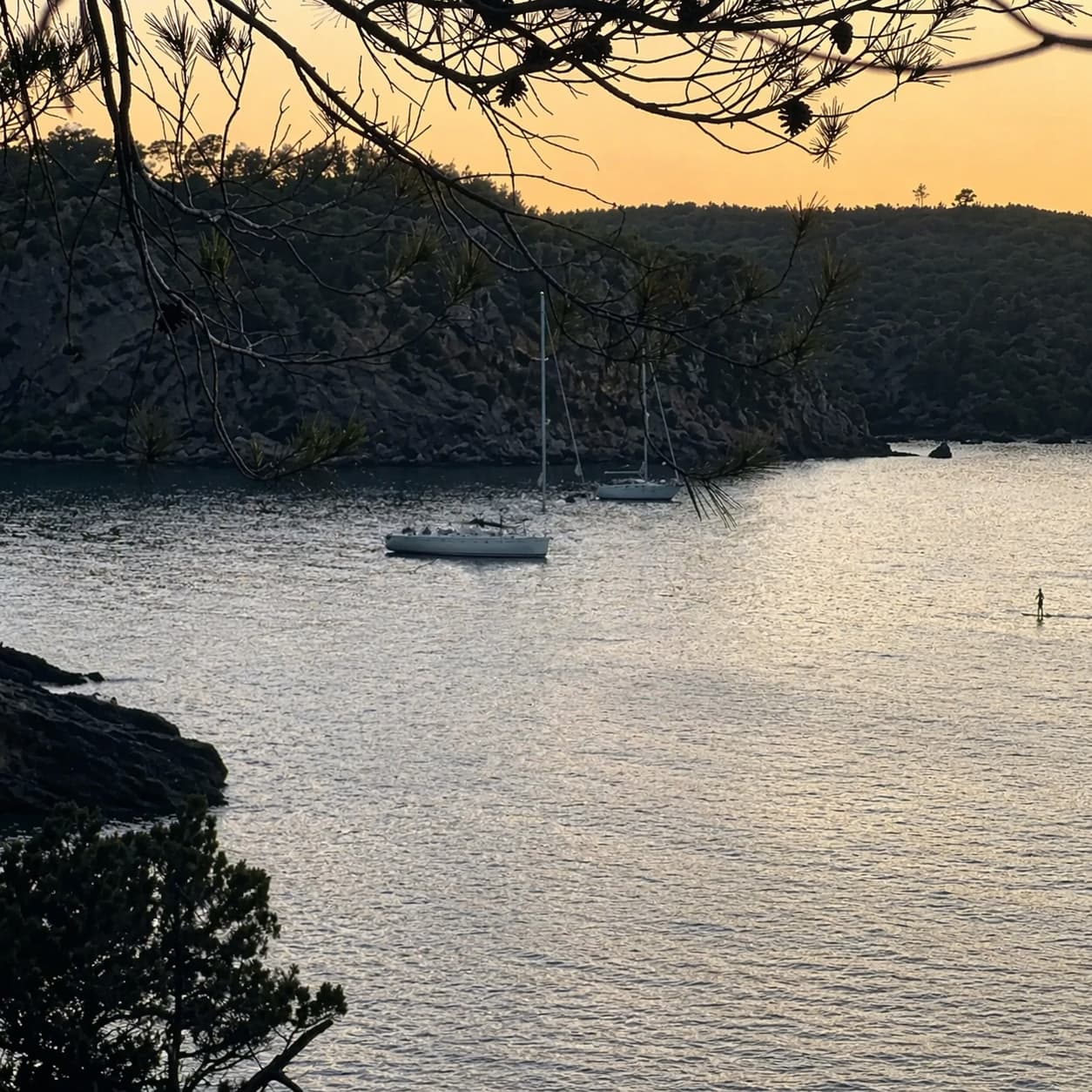 Cover of activity #15366