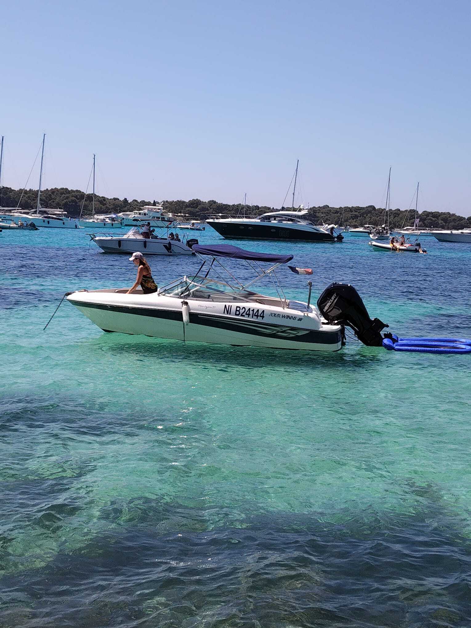 Cover of activity #28301