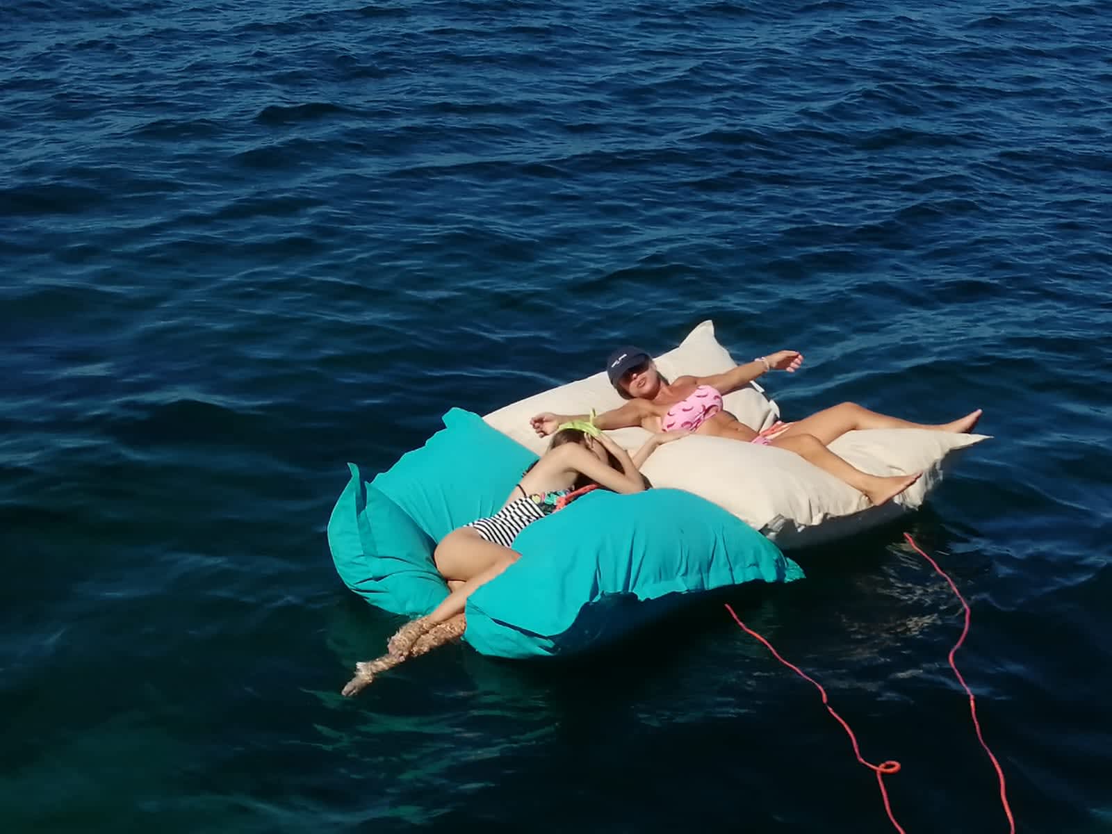 Cover of activity #13213