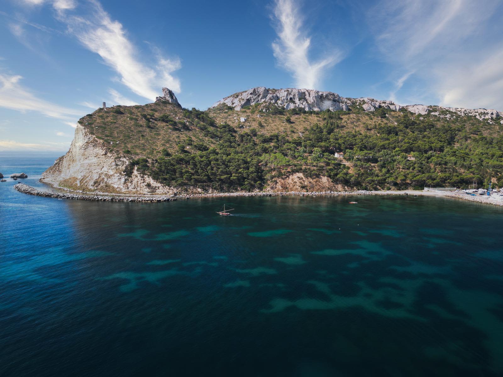 Cover of activity #14712