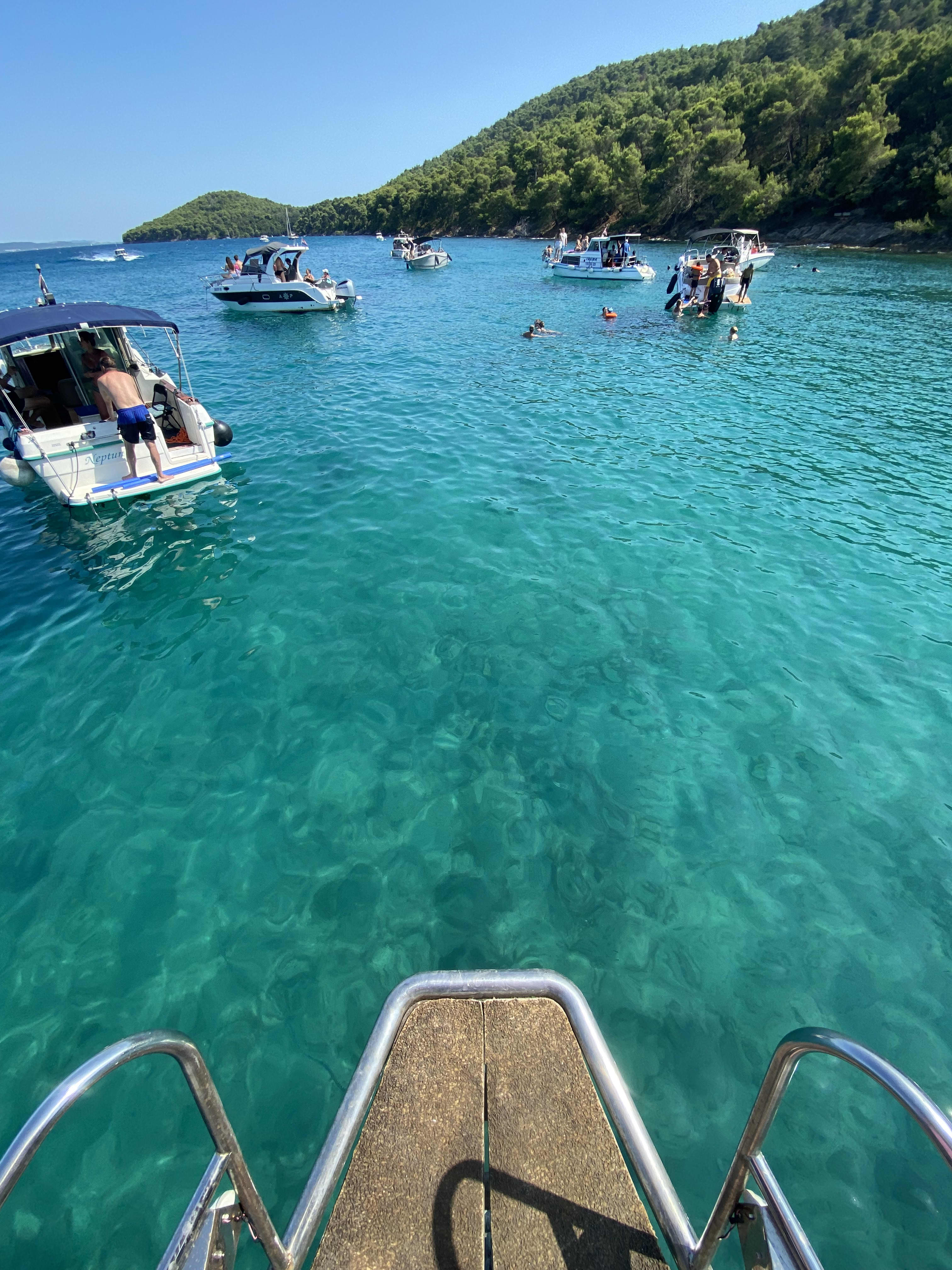 Cover of activity #13660