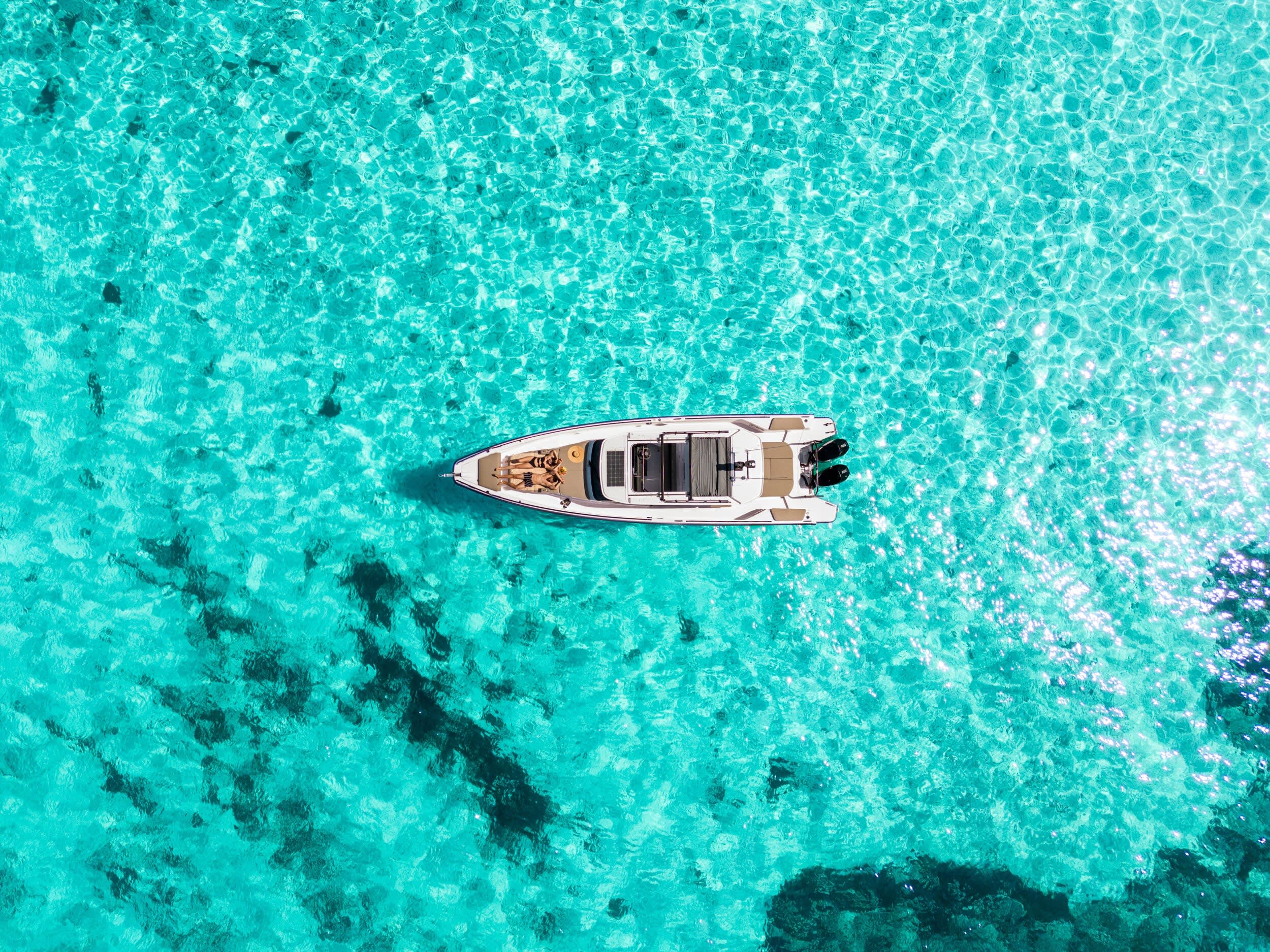 Cover of activity #12445