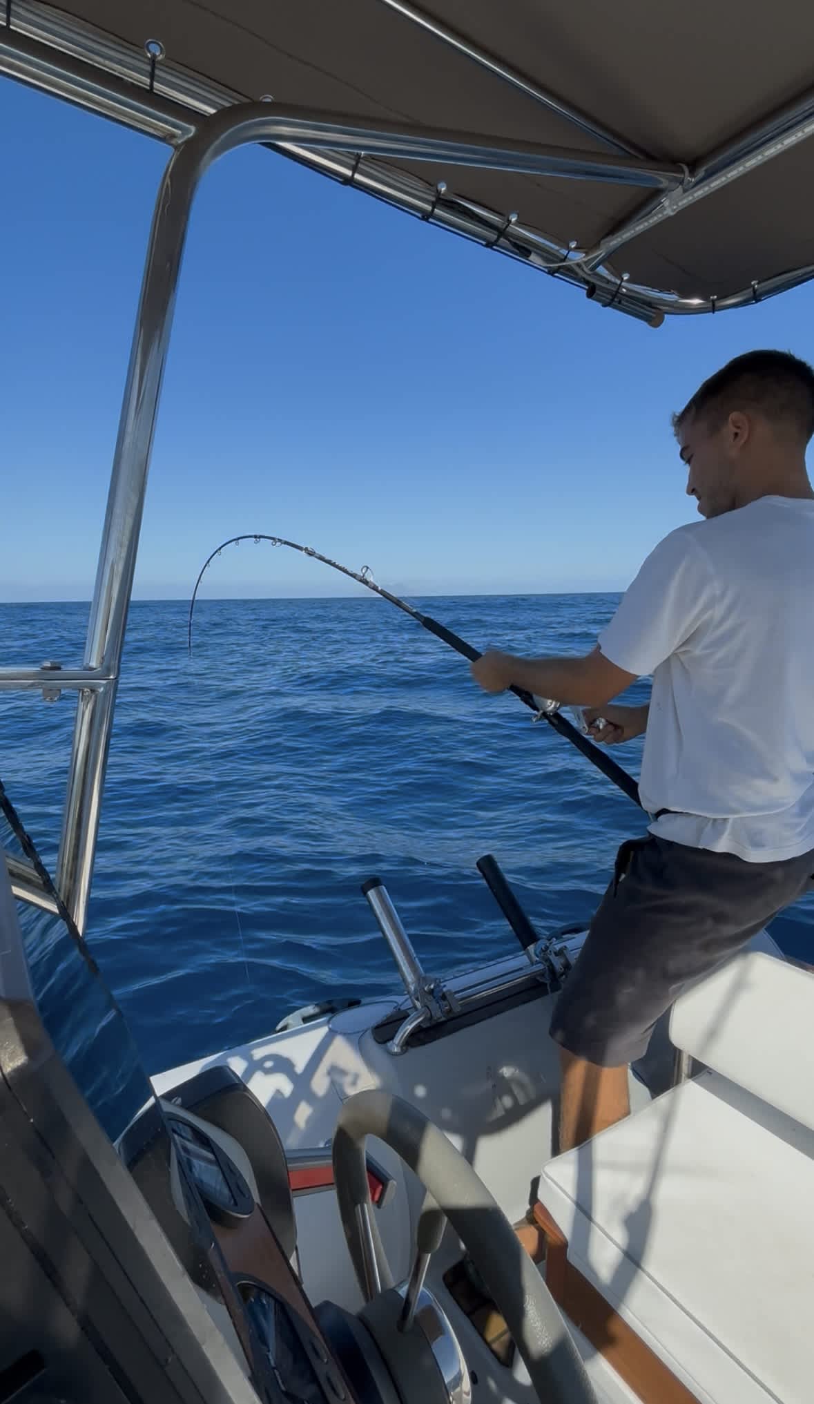 Cover of activity #14633