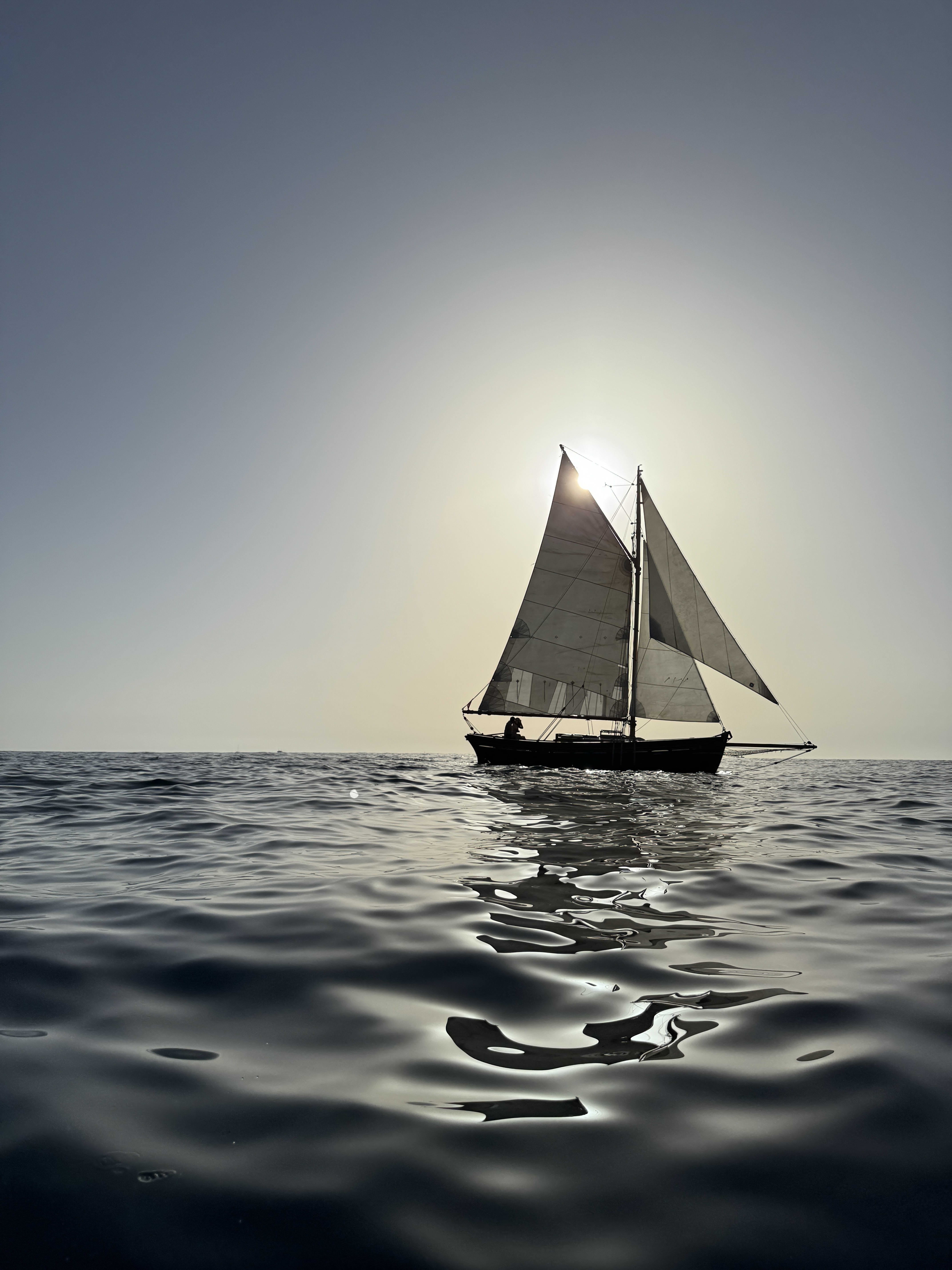 Cover of activity #12714