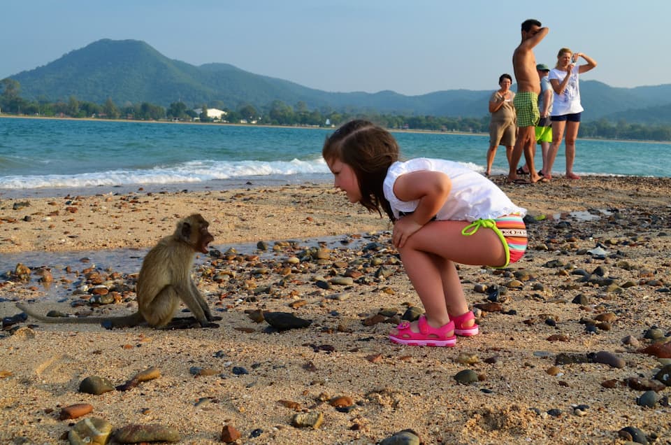 Cover of activity #19154