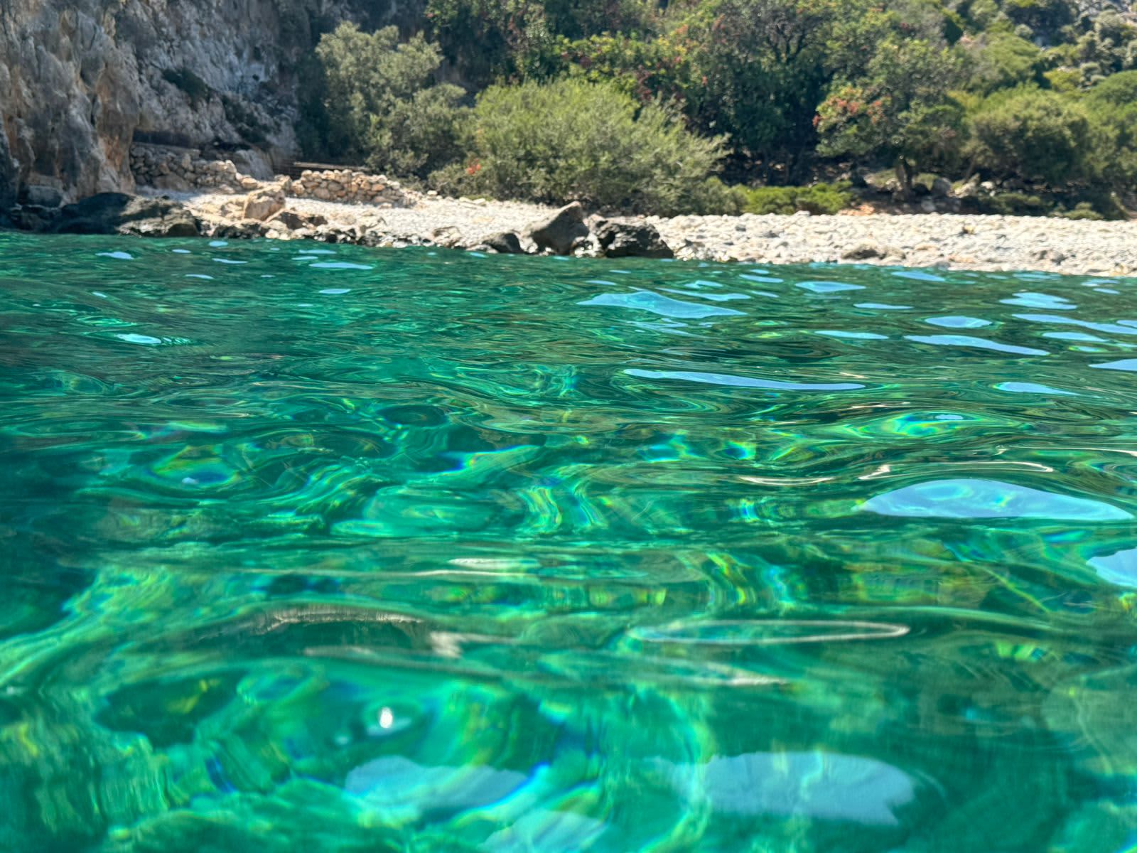 Cover of activity #13068