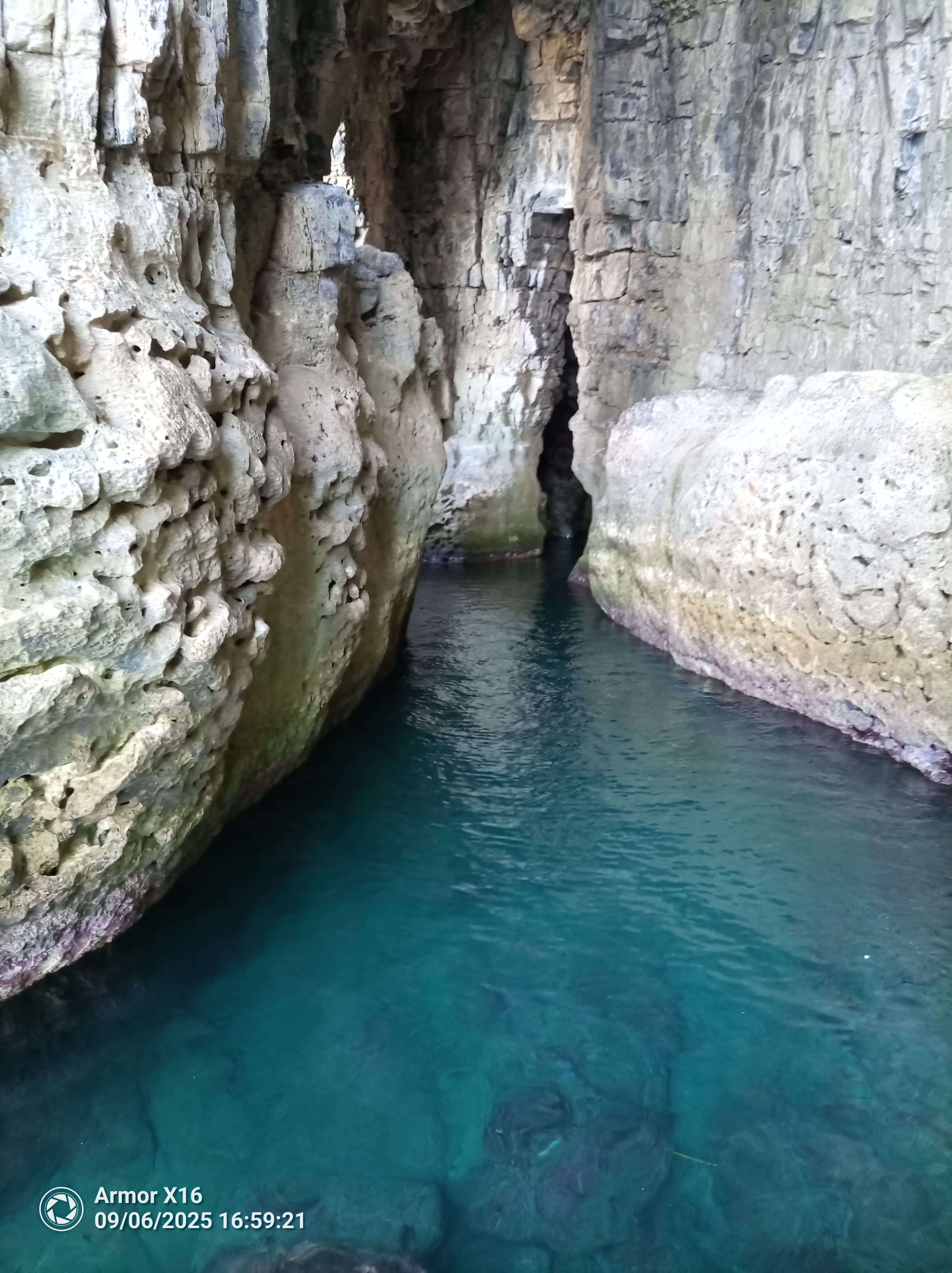 Cover of activity #15969