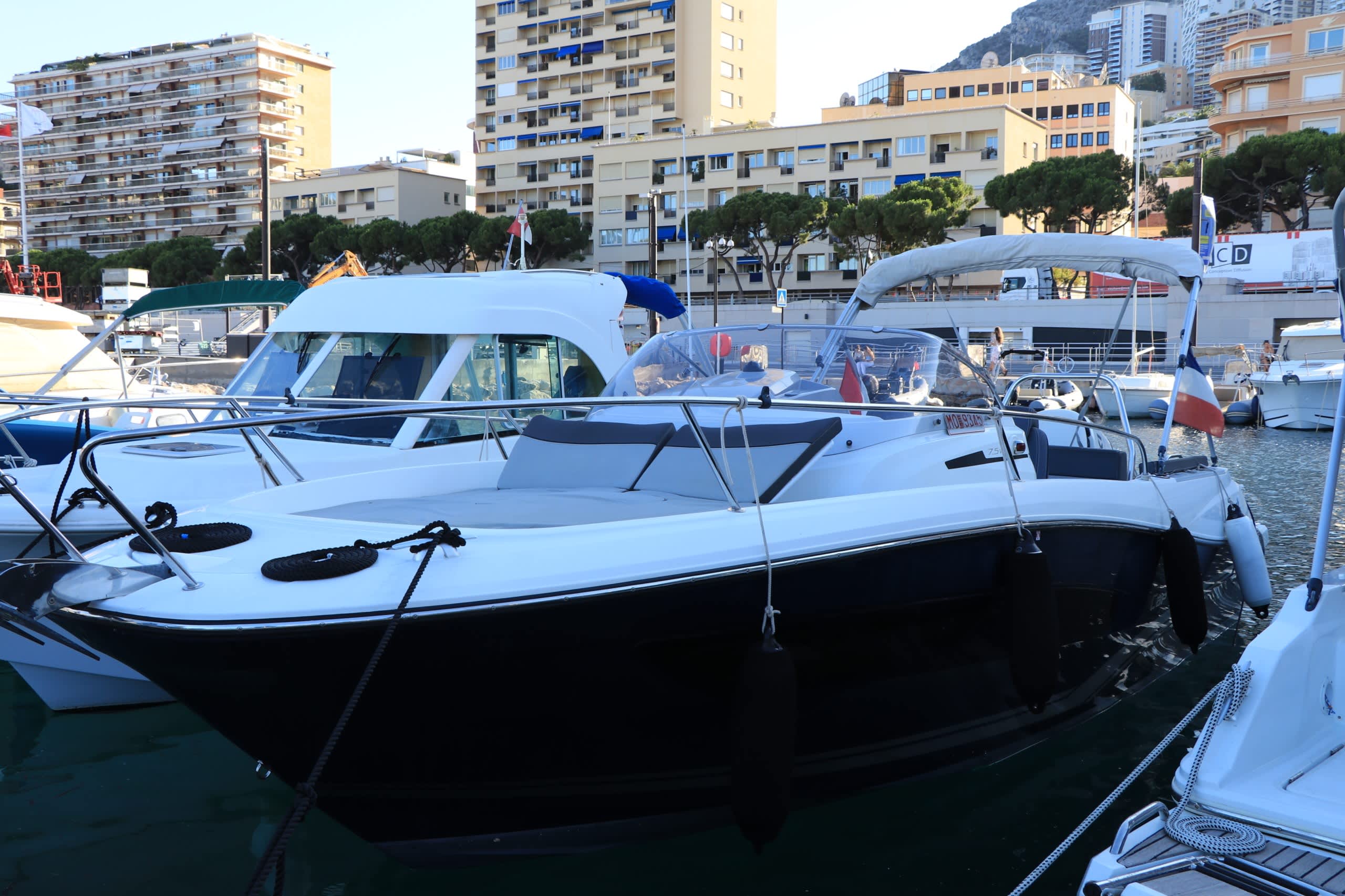 Cover of activity #28347