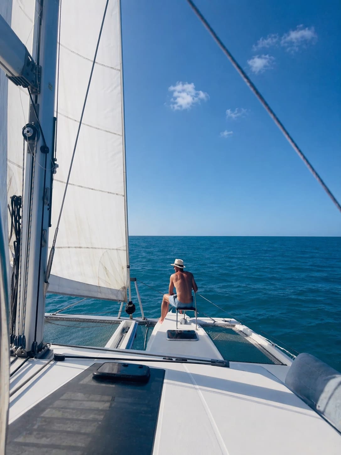 Cover of activity #19687