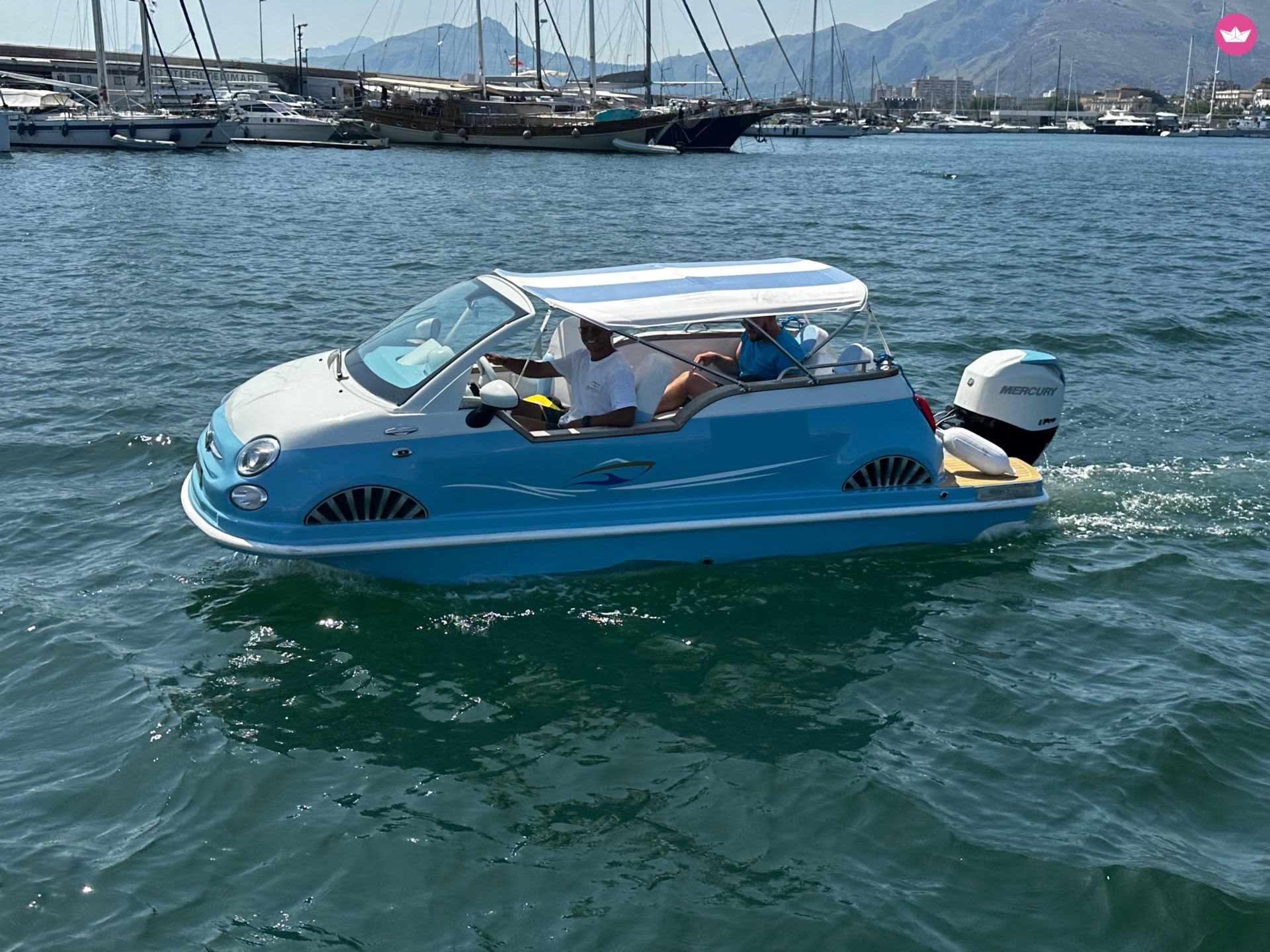 Cover of activity #12739