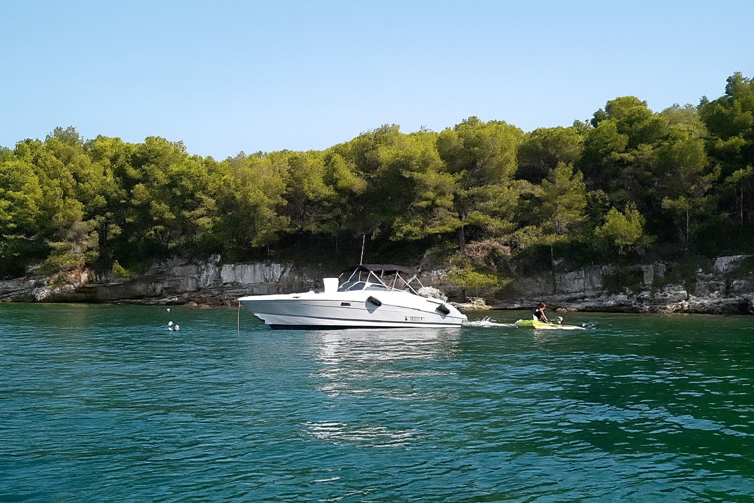 Cover of activity #13221