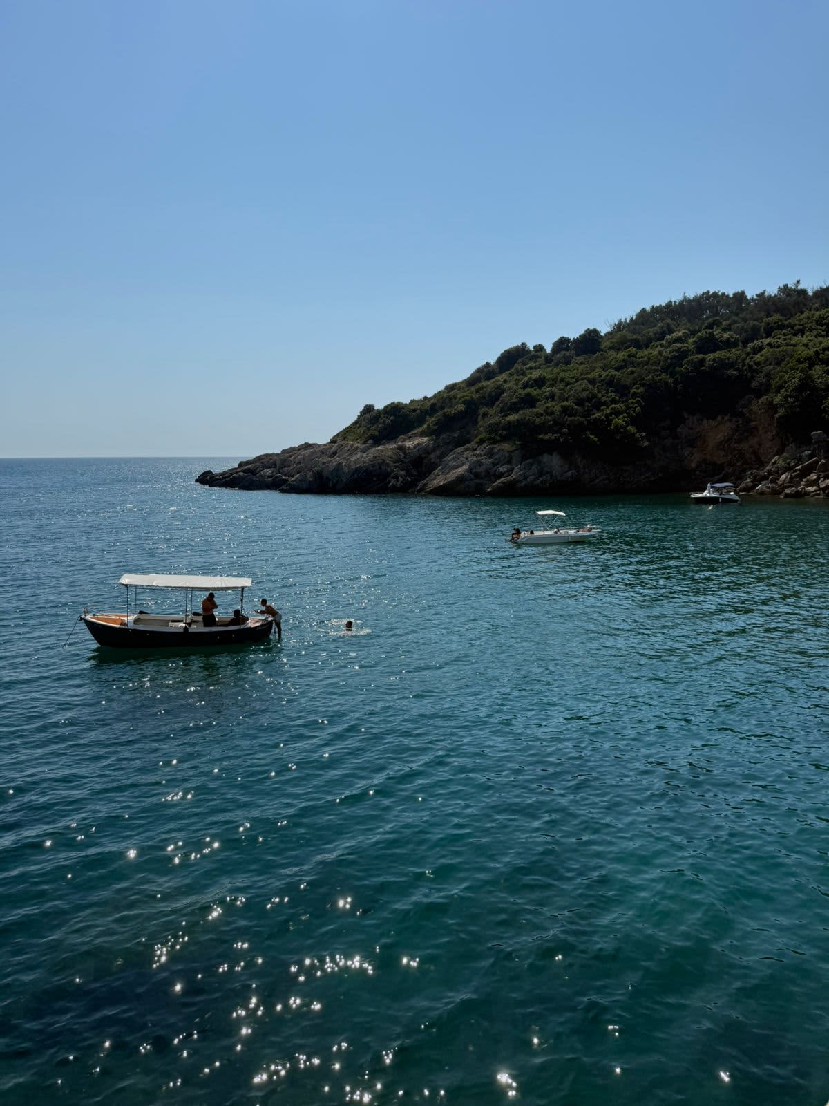 Cover of activity #12724