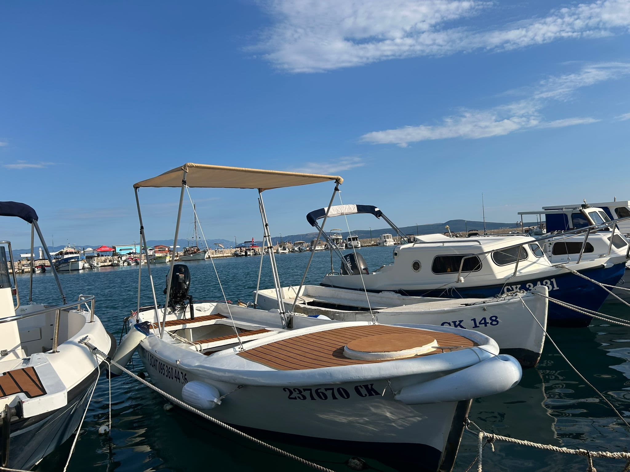 Cover of activity #28479