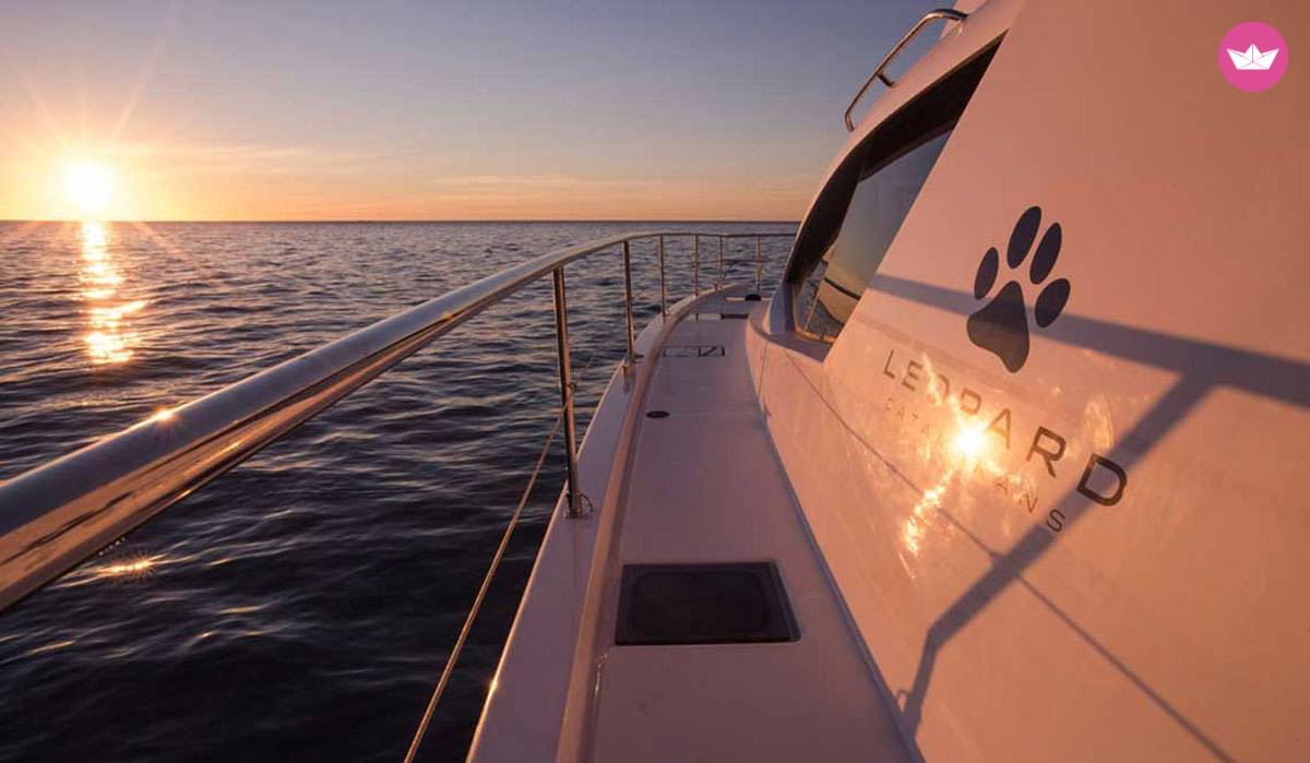 Cover of activity #13148