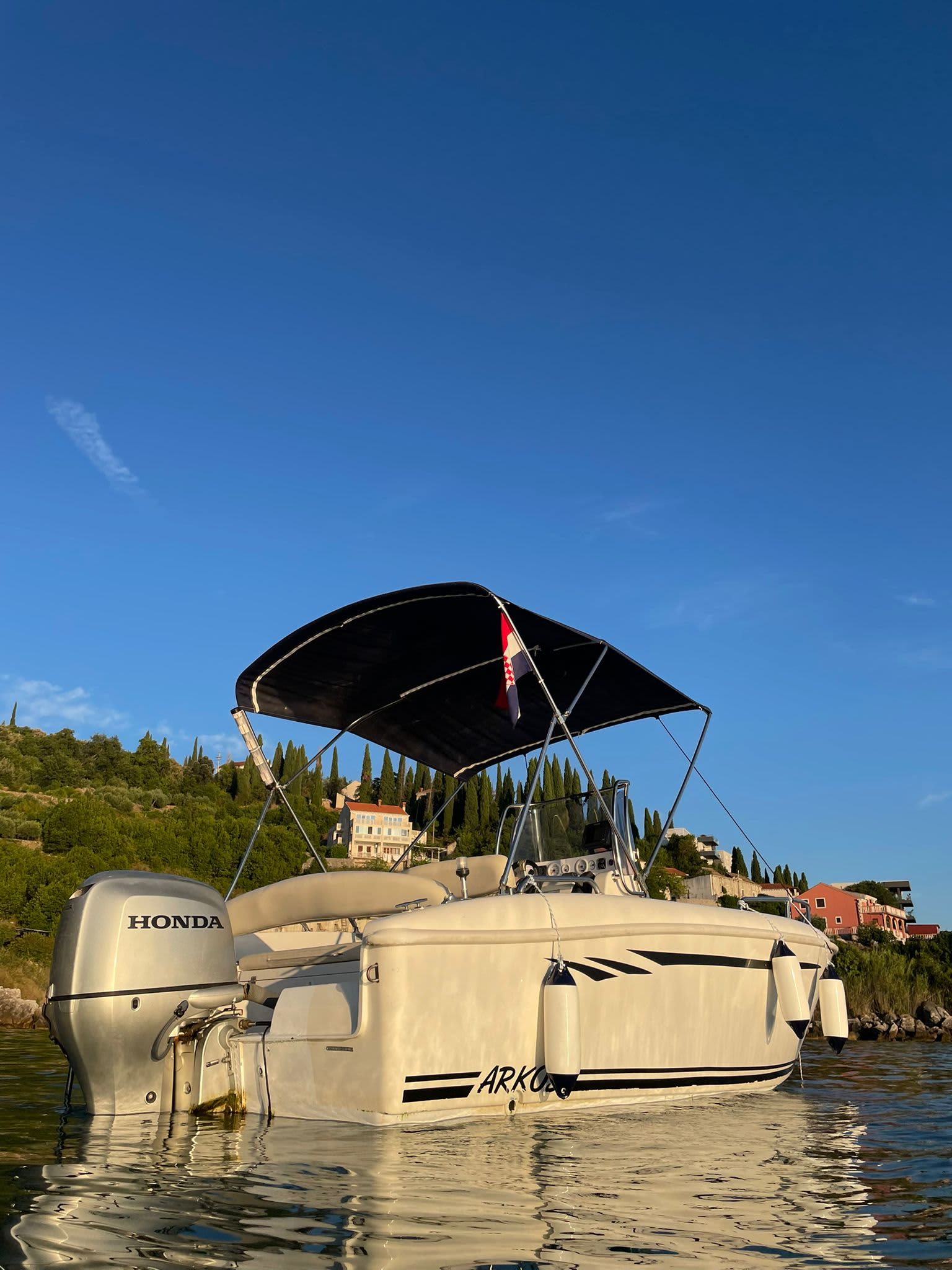 Cover of activity #13656