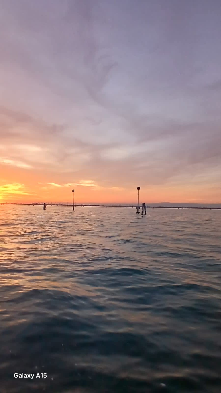 Cover of activity #15166