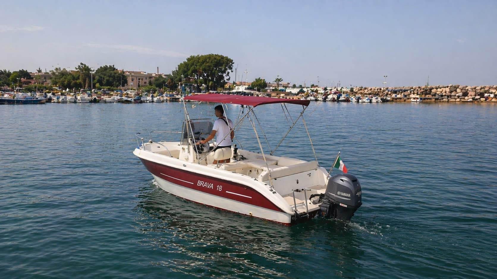 Cover of activity #29713