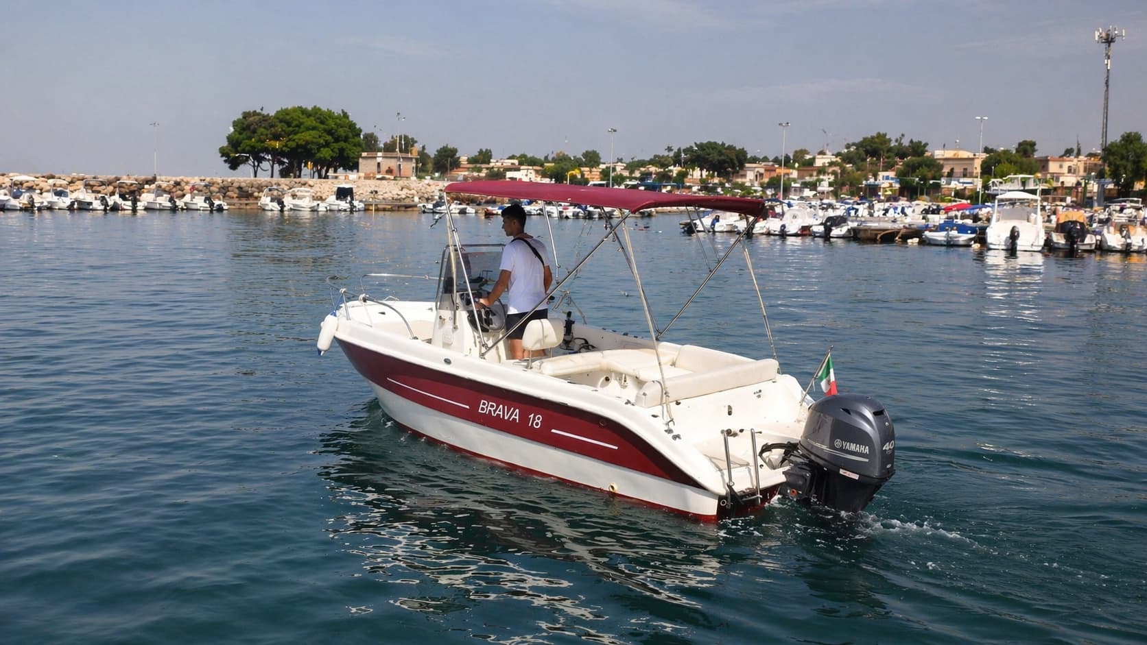 Cover of activity #29712