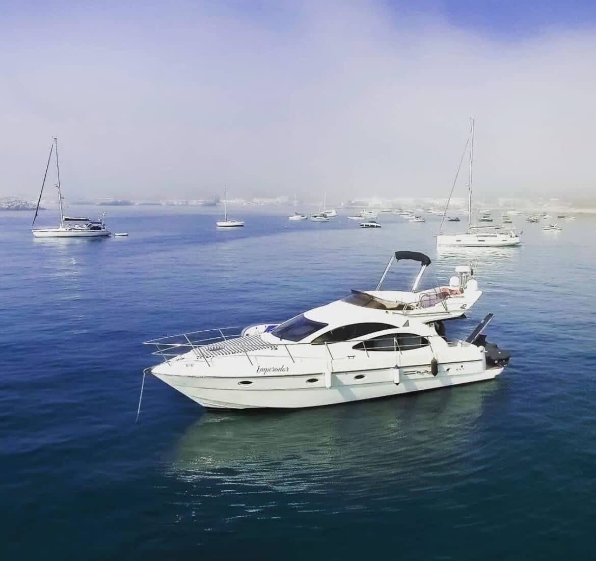 Cover of activity #13219