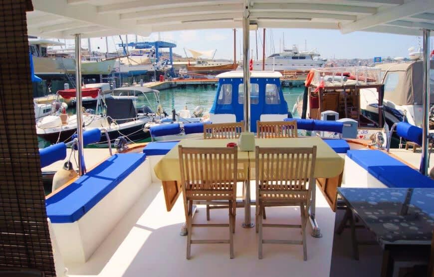 Cover of activity #28336