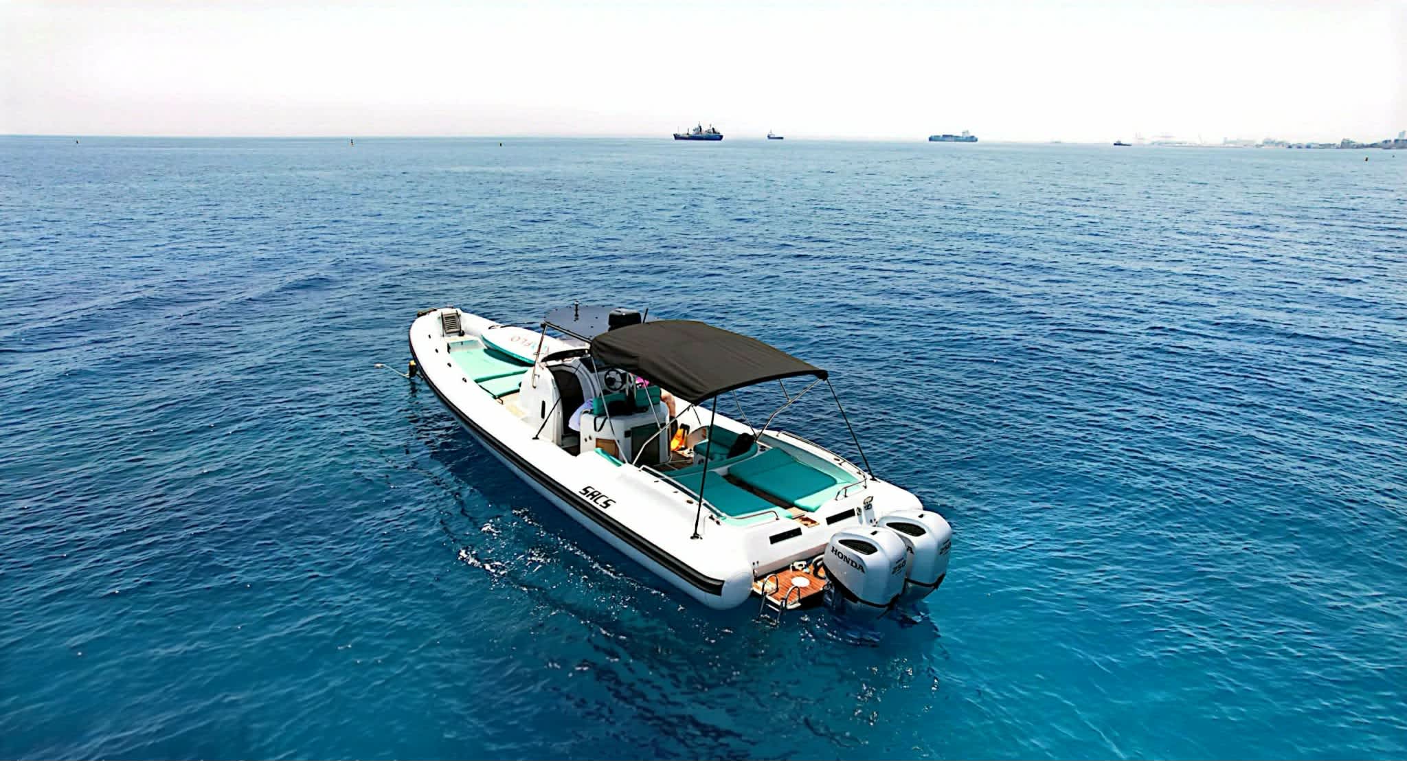 Cover of activity #15341