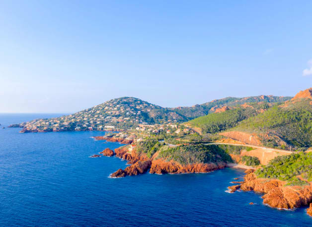 Cover of activity #14100