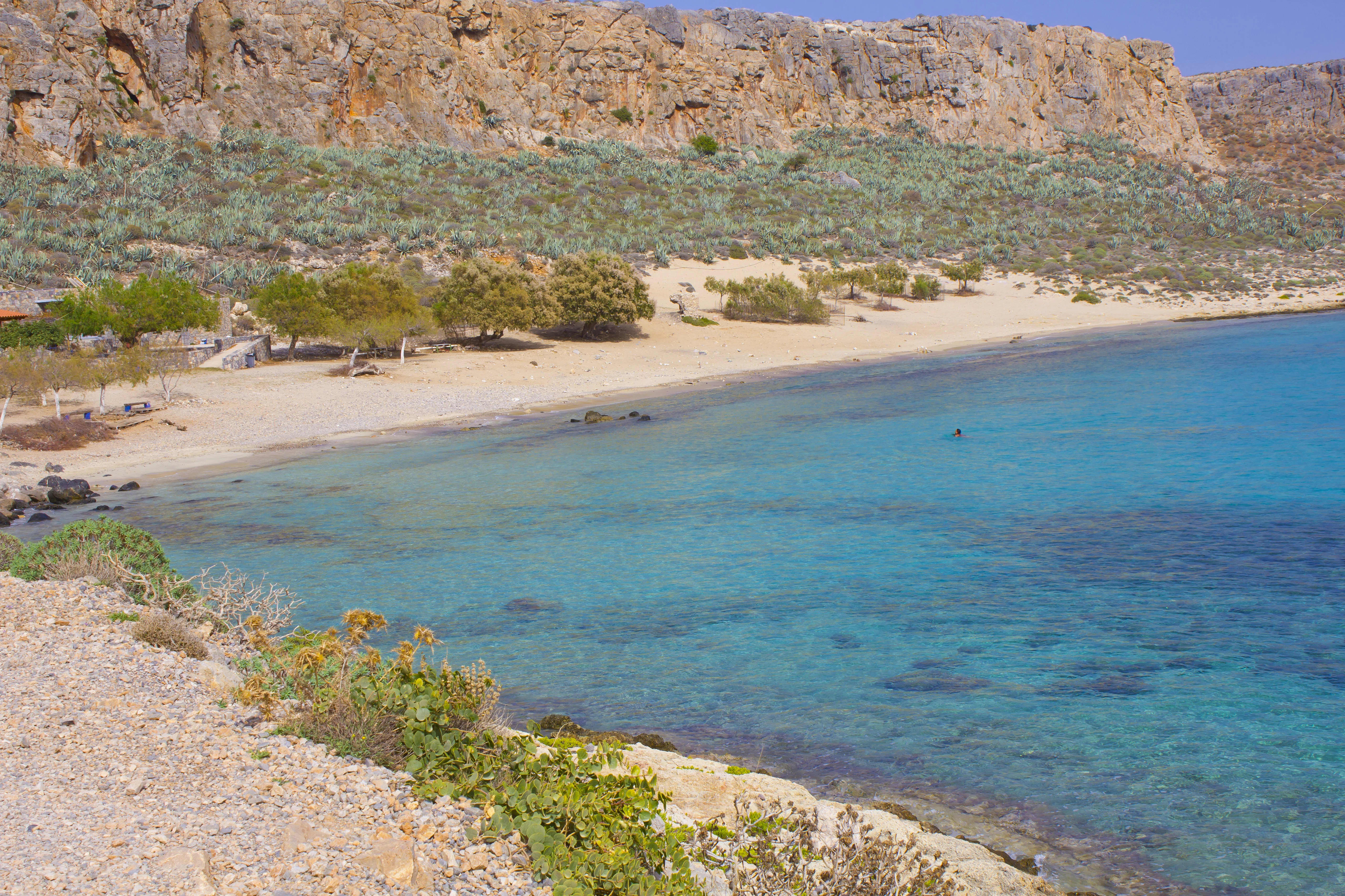 Cover of activity #14881