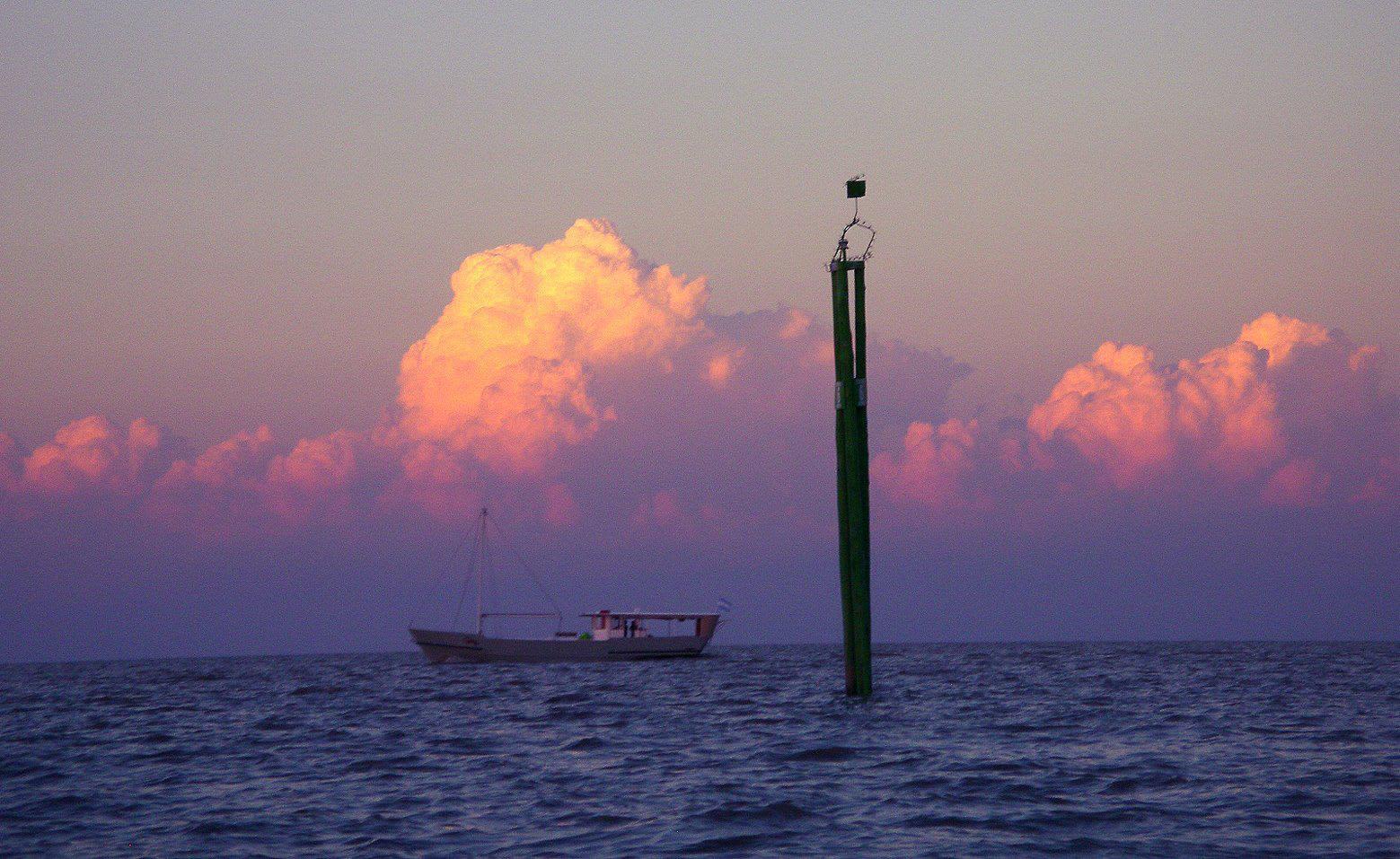 Cover of activity #16665