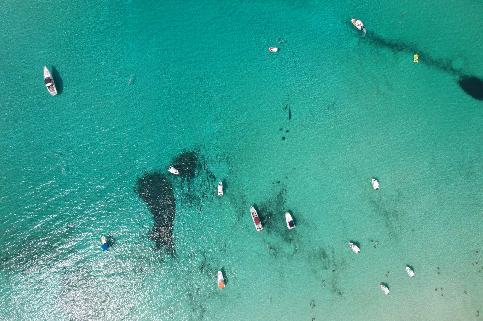 Cover of activity #13988