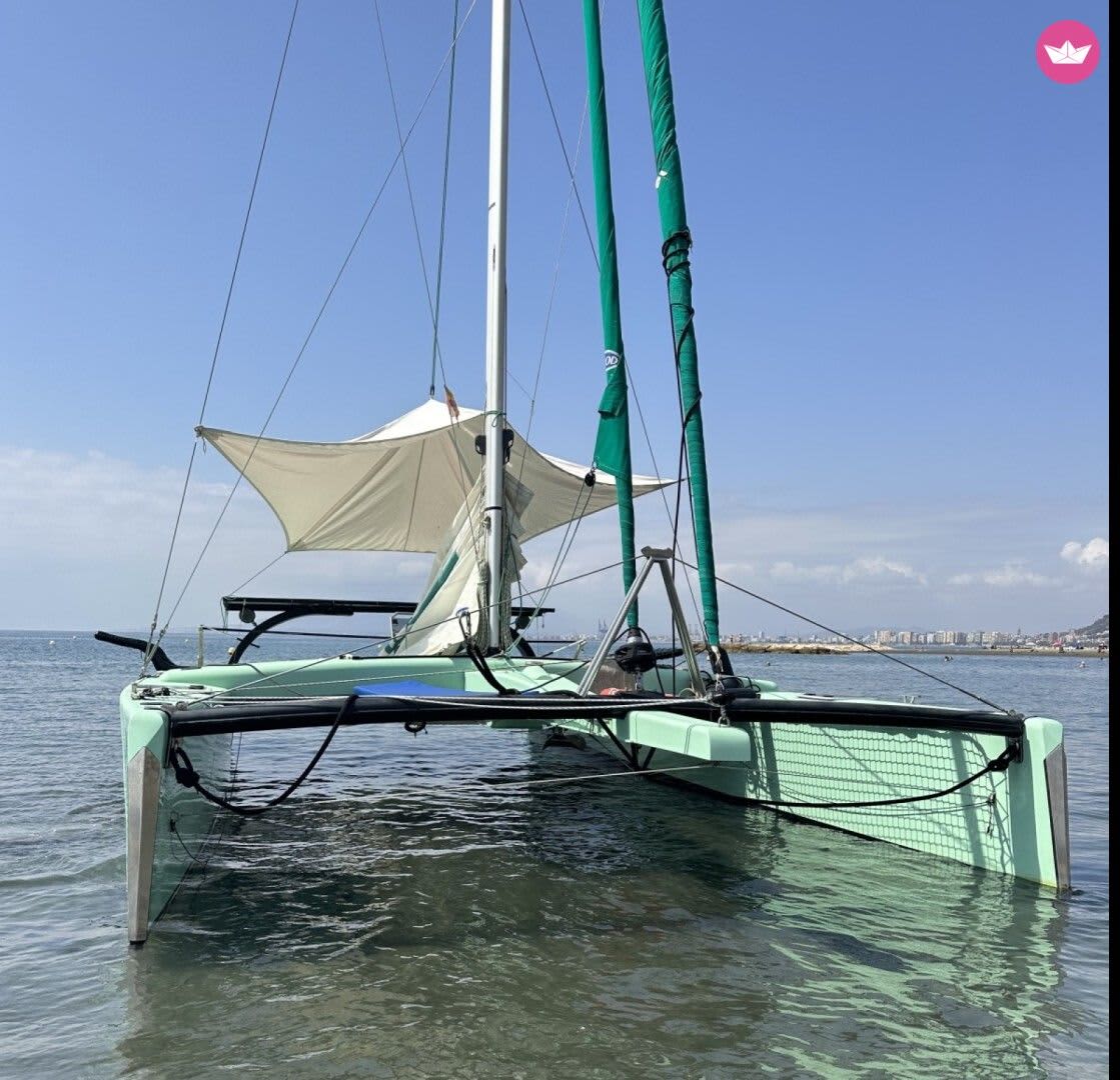 Cover of activity #14216