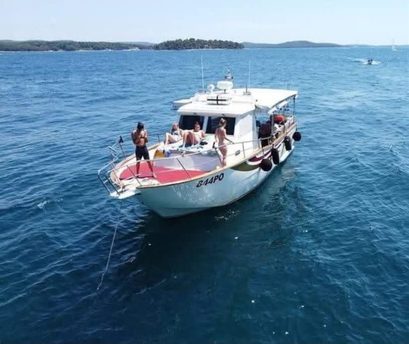 Escursione privata in barca di 8 ore con osservazione dei delfini