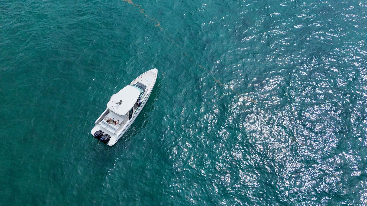 Cover of activity #17004