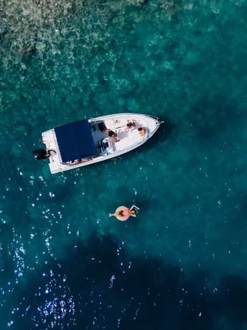 Cover of activity #16165