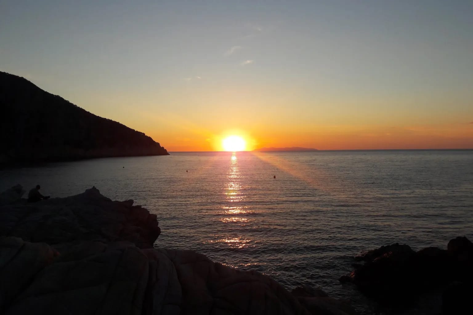 Cover of activity #16448