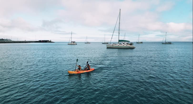 Cover of activity #14918