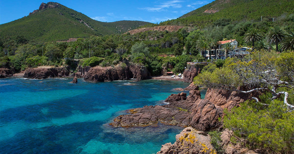 Cover of activity #14972