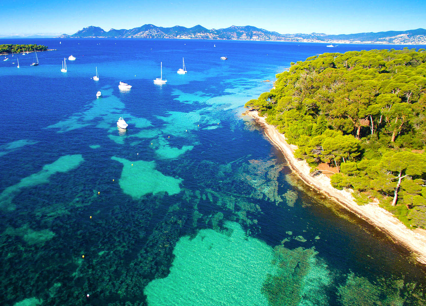 Cover of activity #15074