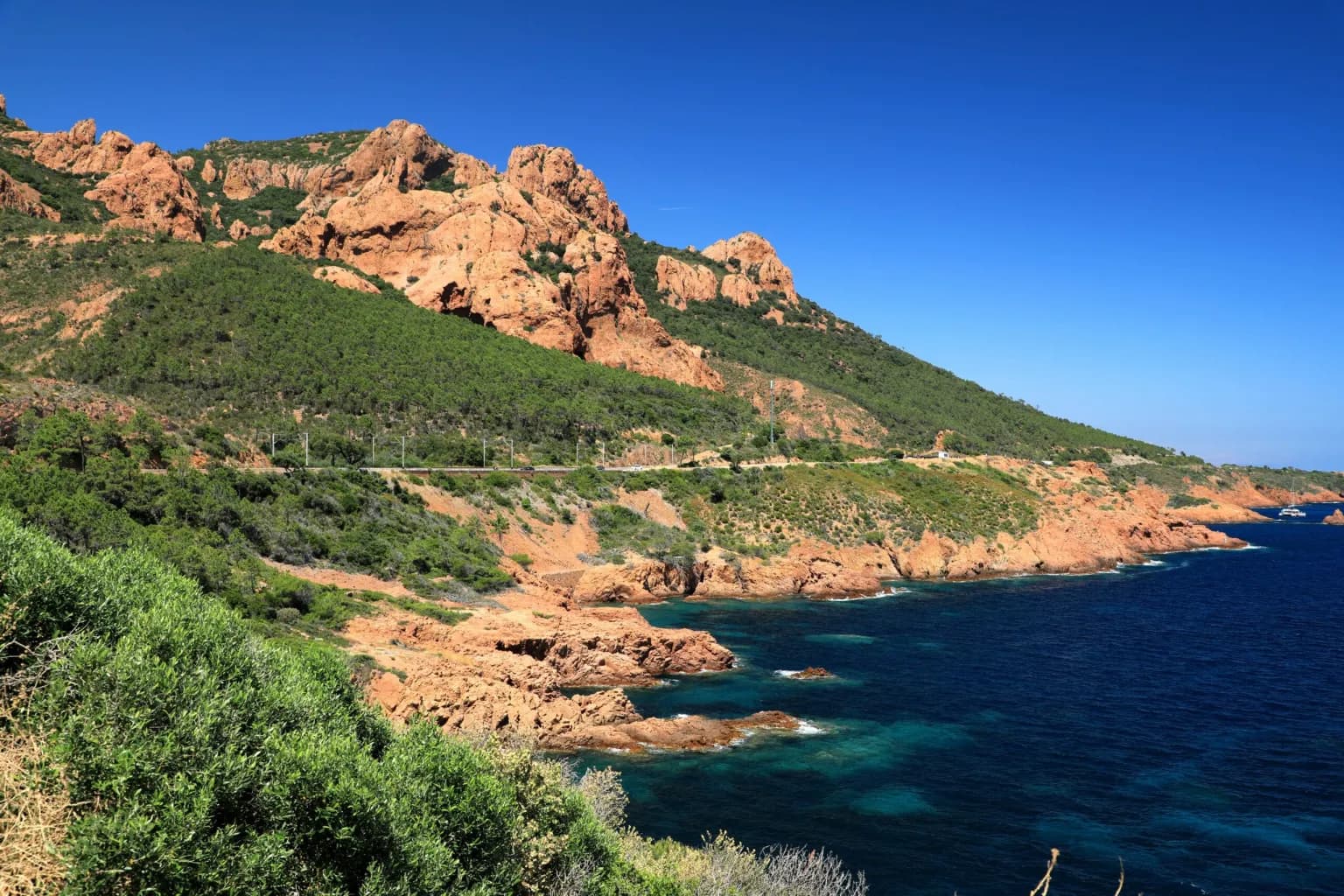 Cover of activity #15081